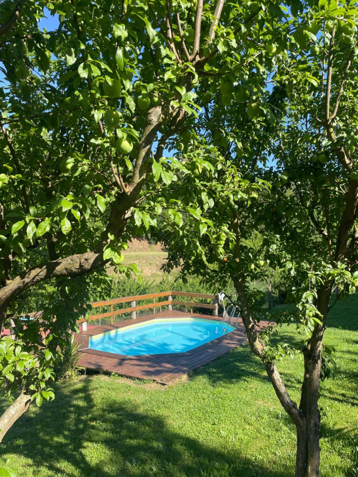 Villa Casinha à Porta à Arouca Extérieur photo