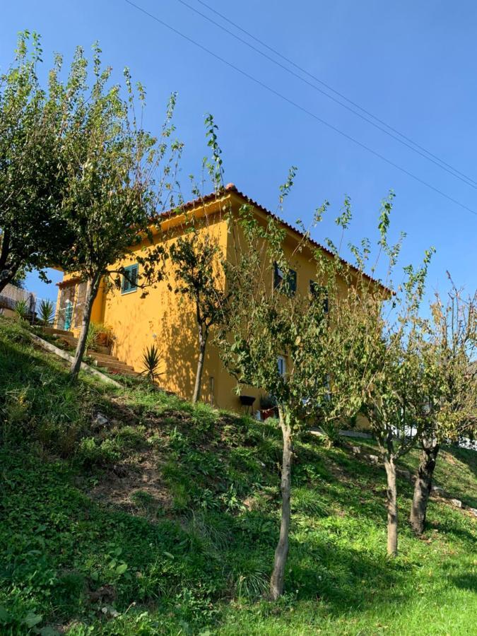 Villa Casinha à Porta à Arouca Extérieur photo
